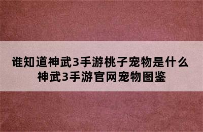 谁知道神武3手游桃子宠物是什么 神武3手游官网宠物图鉴